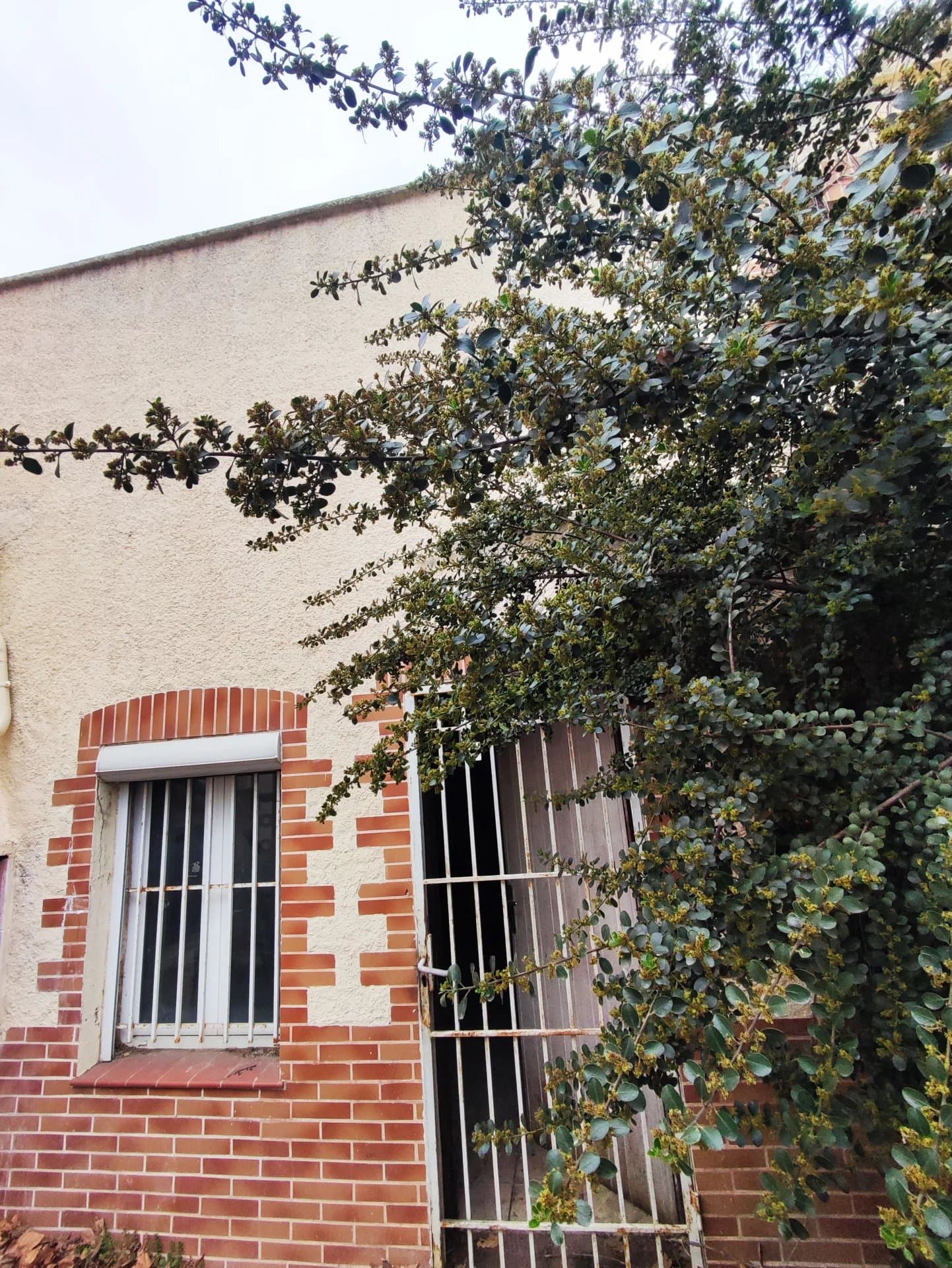 Perpignan proche Baléares Maison avec cour extérieure - vue 2